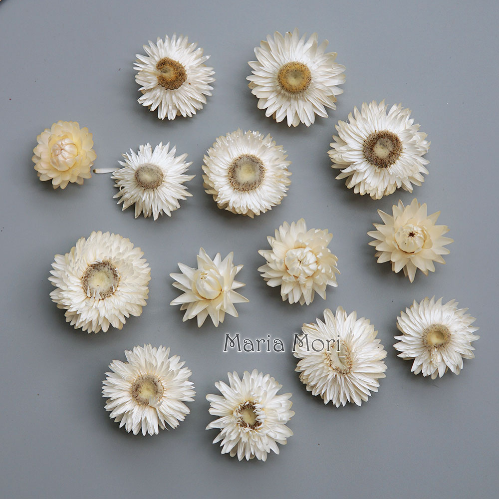 Natural Dried Colorful Chrysan - Hair Care Nature recension och pris
